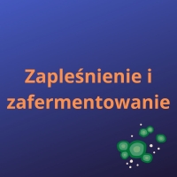 Zapleśnienie i zafermentowanie
