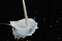 Milk fat