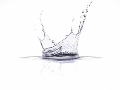 Water / dry matter content (moisture content)