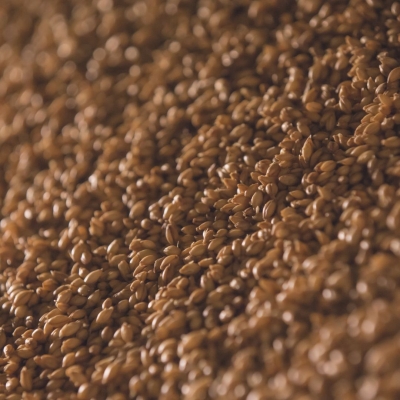 Crude fiber (Feed and feed materials)