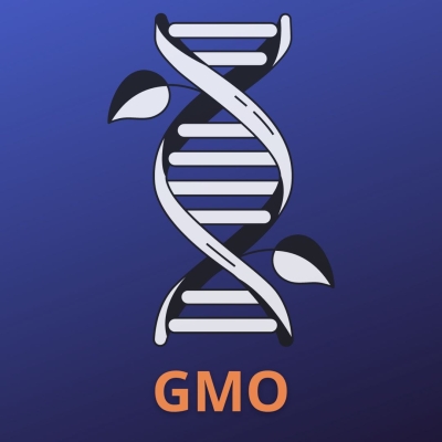 Detection of GMO modifications