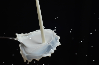 Milk fat