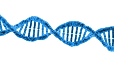DNA Zwierząt