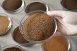 Crude ash content