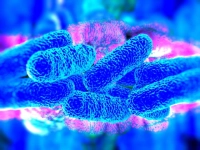Analiza wody - Legionella