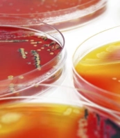 Pseudomonas spp.