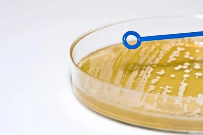 Testing of the total number of microorganisms in the air - method using a sampler