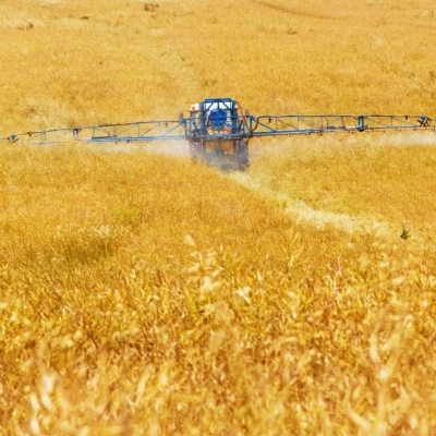 Badanie żywności - Glifosat, Glufosynat, AMPA
