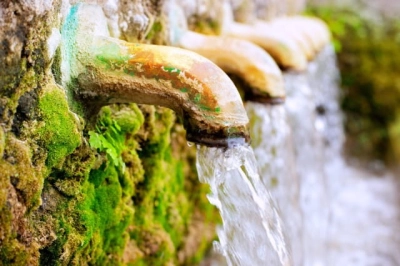 Water analysis - Fecal enterococci count