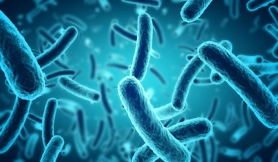 Number of sulfate (IV) reducing bacteria growing under anaerobic conditions at the temperature of 37°C